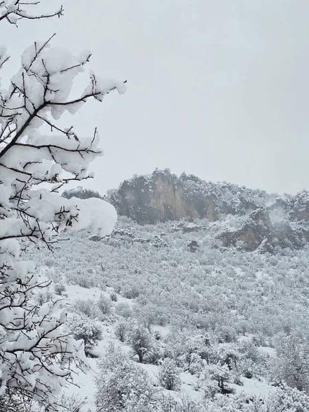 #دهوك #جبل_كاره 10الاف

#اربيل ‎#جبل_كورك 10الاف

#اربيل مبيت 35الف معا فطور 

متوفر خصم على اعددد ال 5فما فوق 

ومتوفر نقل خاص 4راكب 12راكب 30راكب

للتواصل مراسلة الارقام او الصفحة 

شركة موصل ستي للسفر والسياحة

📞 ***********

 📞 ***********
