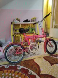 بيسكل طباگي • تاير وراه عوزة رگعة • العمارة الحولي