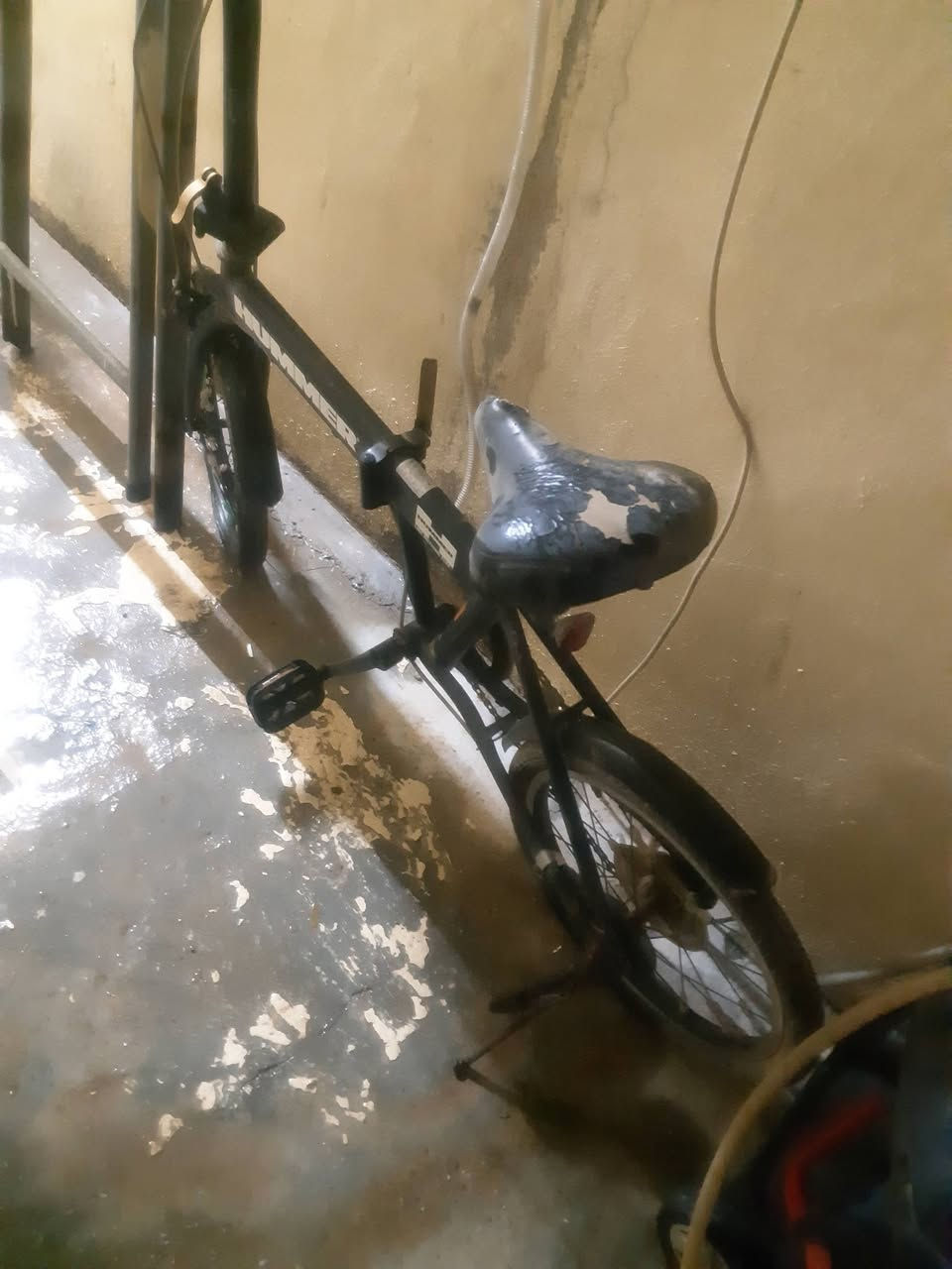 عندي باسكلات 2 واحد مال كبار والثاني ولادي شباب مااعرف قياسهم فقط بنجر وماعندي احد يصلحهم باقين على حالهم ابيعهم 
كركوك ***********
