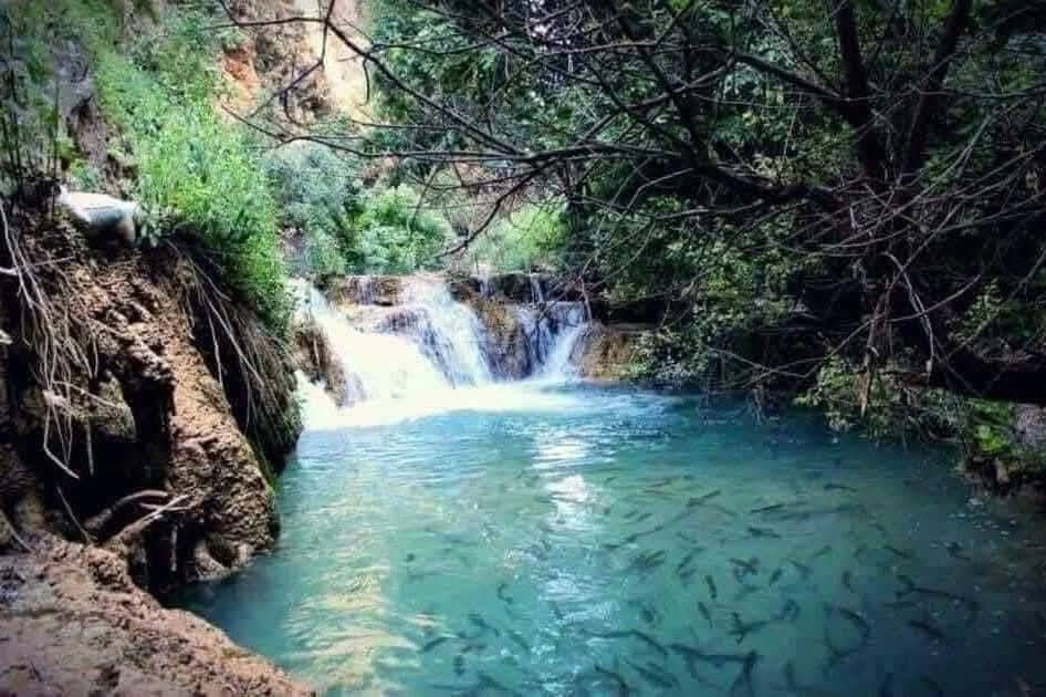 #سفراتنا_كل_جعمة
😍شعارنا المصداقيه فوق كل شي اسأل من كان معنا😍 
 🛑 #سارع في الحجز #المقاعد محدودة
💓💓💓💓💓💓💓💓
#دهـDihokــوك 
#دهوك يوم واحد جبل كاره او مصبف اشتوه -بــــــســـــــعر (10) الف
💓💓💓💓💓💓💓💓
#زاخو يوم واحد  -  بــــــســـــــعر (10) الف
💓💓💓💓💓💓💓💓
#دهوك مبيت ليله بــــــســـــــعر ( 30 )الف

_______👑رحــلة روتــانــا👑_______
#دهوك_ زاخو 2 ايام vip : ( 25 الف )
( مصيف دشتاخ - مصيف شرانش - كهف بهير -مصيف برخ - مصيف ايشاوه او جبل كاره - زاويته - مدينة العاب دريم ستي - حديقة حيوانات - فاملي مول
_جبل زاوه او سد دهوك 
_______👑رحــلة روتــانــا👑_______
#دهوك_يوم_واحد اشاوه وداخل: ( 10الف )
(-مصيف گلي اشاوه او جبل كاره -استراحة مطعم -استطنبول مول -حديقة حيوانات -مدينة العاب دريم ستي- فاملي مول )
جبل زاوه او سد دهوك 
_______👑رحــلة روتــانــا👑_______
#سفرتنا مستمرة كل #ثلاثاء و#جمعة 
#يوجد_نقل_يومي_مستمر_الى
( تركيا - بغداد - )
( لدينا حجوزات طيران لكافة مدن العالم ✈️ )
_______👑رحــلة روتــانــا👑_______
😍 ساافر واستمتع وياناااا ابد مراح تنسانااا .
الرحلة تشمل :-
✅ أفطار  مجاناً ☕🍱🥙
✅ باصات VIP حديثة ( متلفزة & مكيفة )🚎
⛔ملاحظة مهمه مهمه مهمه.......
دخوليات الأماكن السياحية على نفقت المسافر
✅ دخولية الاقامة مجاناً💰
✅ أمسيات وحفـلات خاصة لكروباتنا🎷
✅ جولات صباحية ومسائية 👍
ملاحظة : خصم خاص للعوائل والمجموعات الكبيرة والكوادر التدرسية والمجاميع الطلابية 
_______👑رحــلة روتــانــا👑_______
☎️#الحجز_والستفسار
     ***********
     ***********

موصل حي النور
موصل المجموعة الثقافة 

_______👑رحــلة روتــانــا👑______

الفرع الثاني الجانب الايمن حي الثوره

_______👑رحــلة روتــانــا👑______

كروب شركة رحلة روتانا للسياحة والسفر 
https://www.facebook.com/groups/439629596610066/?ref=share
