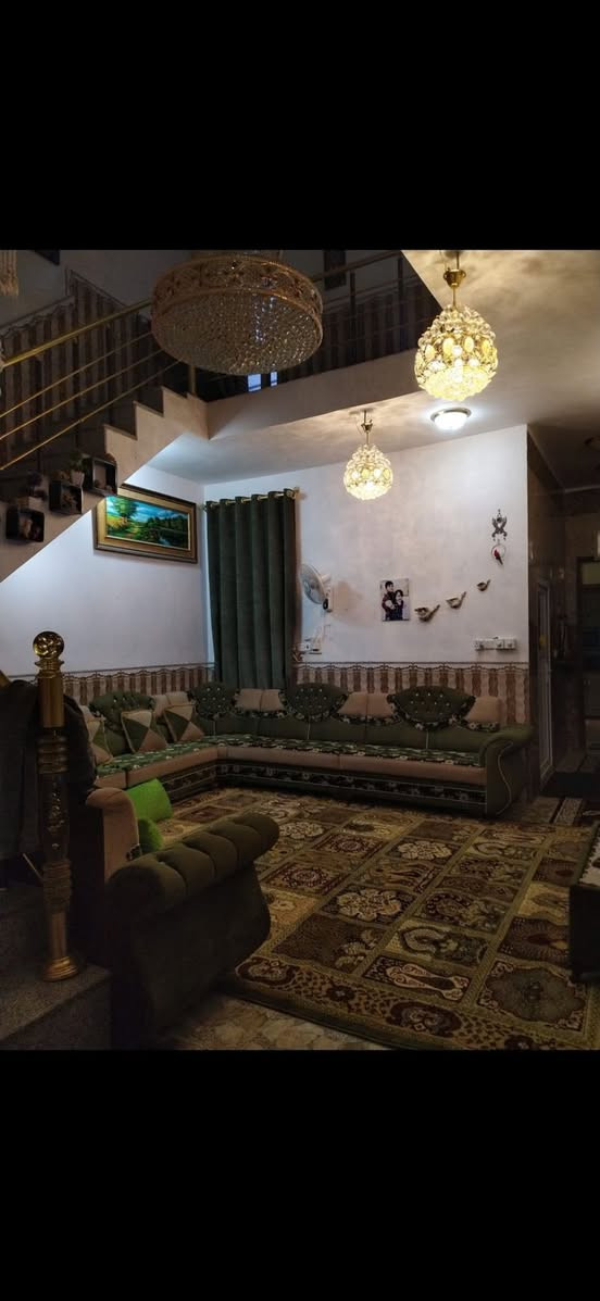 تخم قنفات للبيع للتواصل ***********
