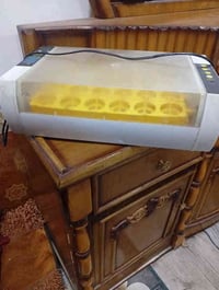 فقاسة • القرنه الشرش شلهة الحسن