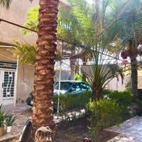 كربلاء طريق بغداد • ٤٥٠م • شقتين