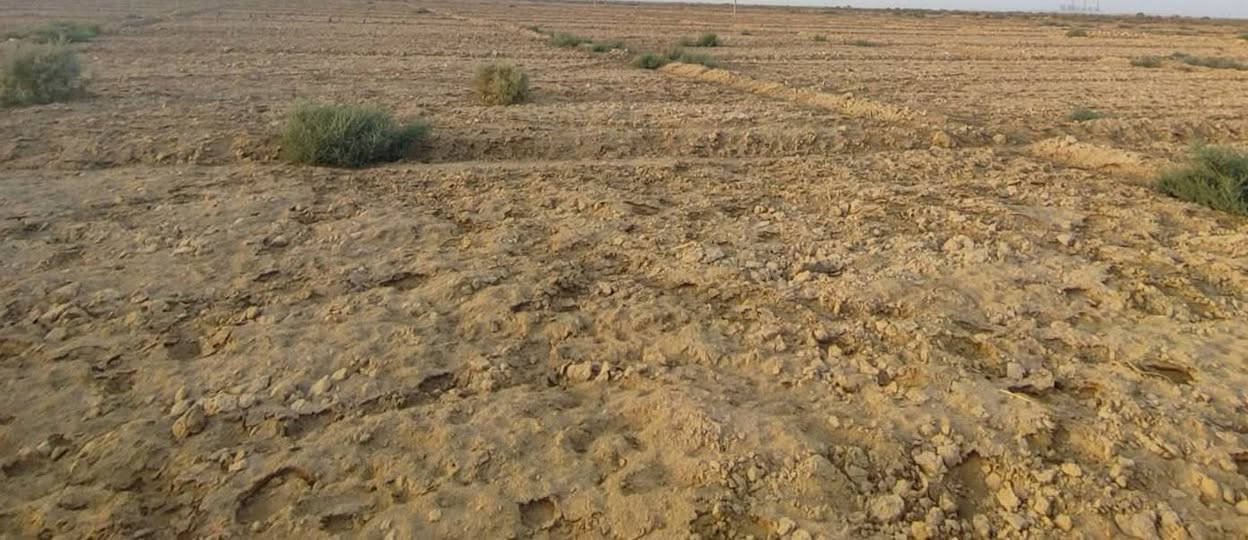 السلام عليكم
ارض زراعية للبيع 
المساحة 140 دونم 
المكان واسط الزبيديه 
قانون ٣٥ 
ماء سكي متوفر 
ماطور كهرباء ٥٠ حصان 
كهرباء متوفره 
ماء اساله متوفر 
***********
