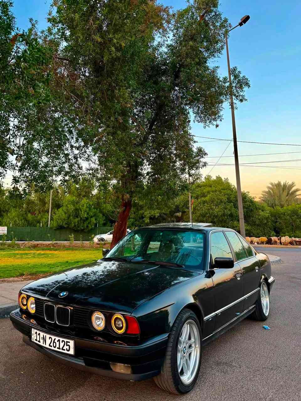 بيئم BMW موديل 1991 اصل 
مكينه 28 دبل فانوص 
سياره جاهزه مبيه نقص فقط ابطاين ابواب نقصه 
مكان السياره بغداد سيديه 
سعر 69
***********
