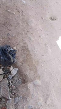 نوبيرا • كير عادي • بابل