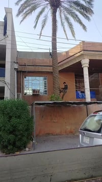 قطع الاشجار والنخيل الضارة والعالقه بالكهرباء للتواصل معنا واتساب داخل...