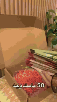 عرررض فراي دي 🔥🔥 لفتره محدوده جدا (بوكس)  يجيكم بهل ترتيب بسعر 15 ألف ...