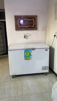 مجمده كانكورد الاصليه 16 قدم نضيفه جداً   تاخذه علشغل تجميد فول   ومشو...