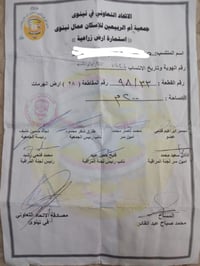 جمعية ام الربيعين • ٢٠٠م • ارض