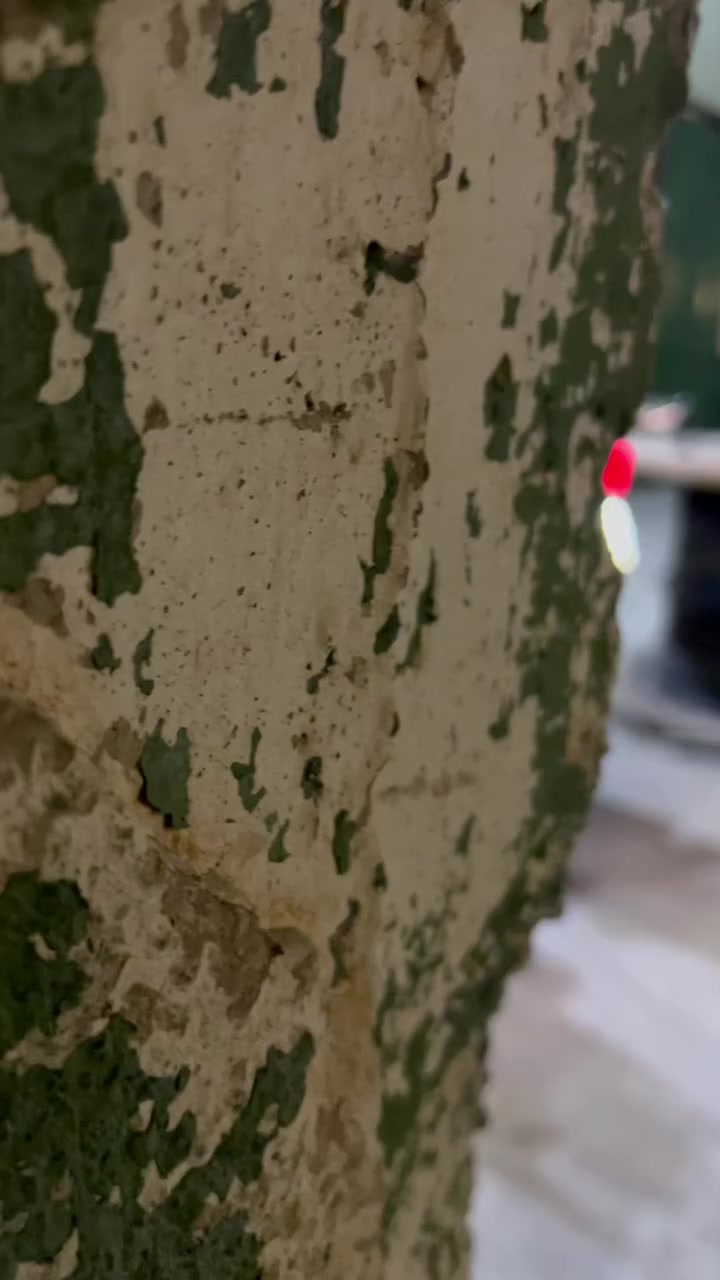 الحلا لات  ❤️🩶 للبيع تفاصيل اتصل 

***********
