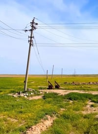 أرض زراعية • حايله درجة أولى • قرية كامل الحشر