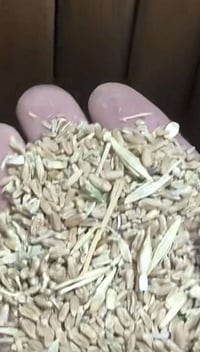 للبيع    (علف) شبيچه تصفية معمل  ‭0786 424 9288‬