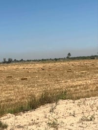 متاح تبن للبيع طول  الكبسه  متر  سعر الزوج ب3 وربع  مكان التاجي الاين ...