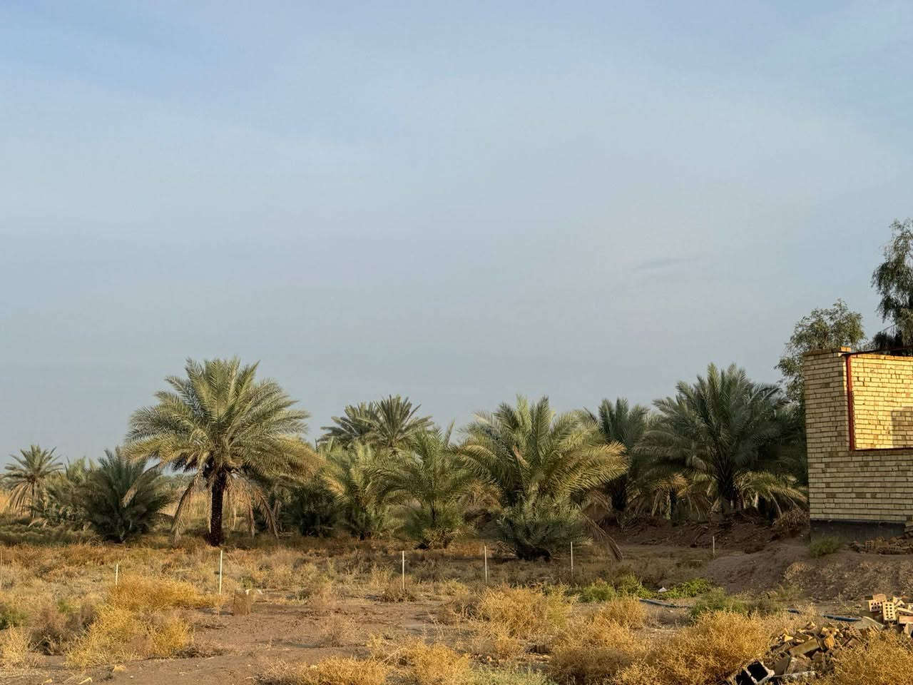 اسلام عليكم
اربع دوانم ملك صرف سند25 تحويل مباشر بسم المشتري
عنوان كربلاء طريق بغداد سايد الخروج قرب المجسر الجديد مفرق الحسينيه عامود( 400) شارع سيده زينب الكبيره
كافة الخدمات ماء اسأله كهرباء ماء سقي
تبعد عن الشارع العام 300متر
واجهة الأرض 80متر
عرض الشارع 20متر
***********
