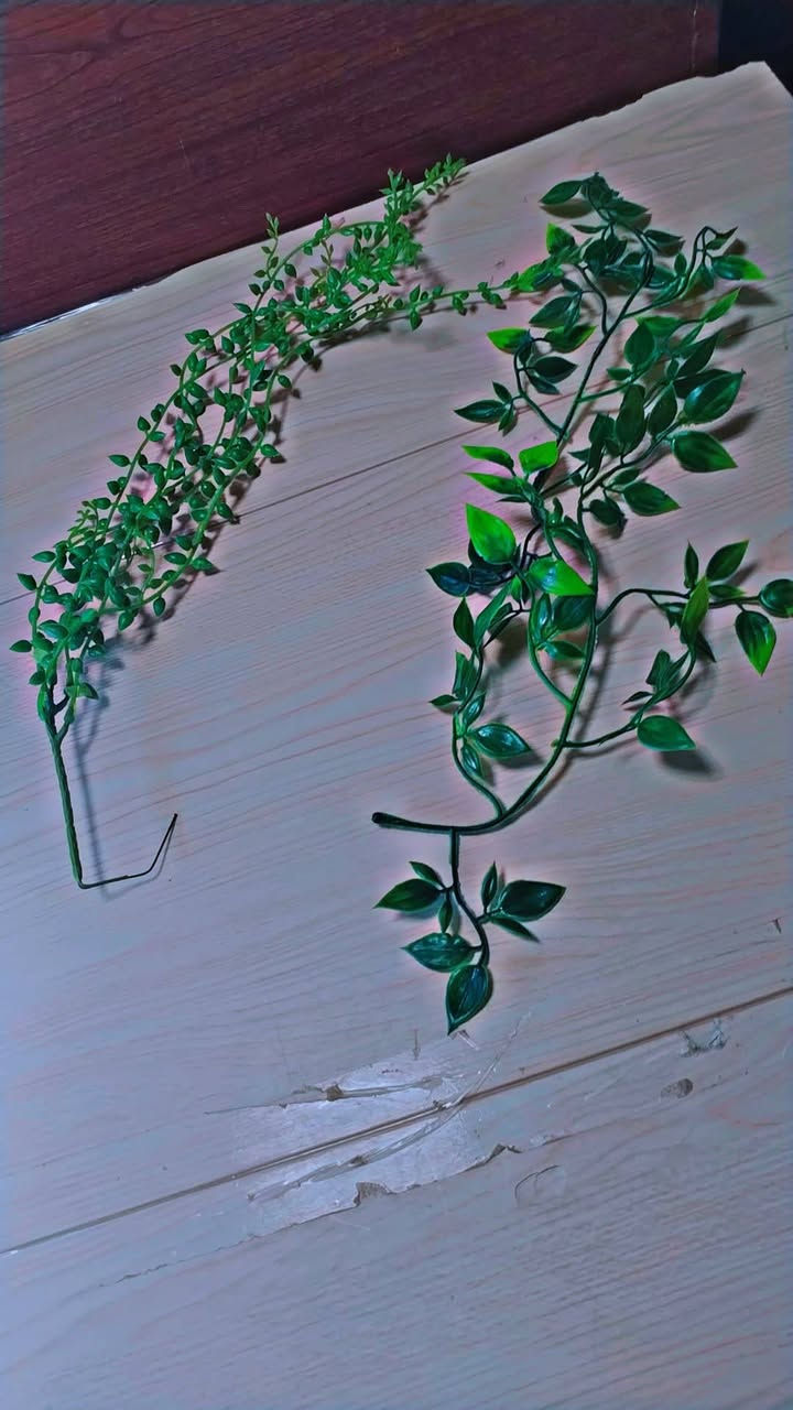 مجموعة ورد كلهن ٣٠ الف توصيل مجاني


**إذا كنت صاحب هذا الإعلان وتريد حذفه لأي سبب، رجاءا أرسل رسالة إلى الدعم الفني**