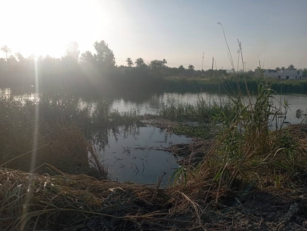 سلام عليكم يتوفر 5دونم ملك صرف سند عثماني سنتر على شط موقع مميز قرب أثار بابل سعر 600مليون إلي يحب يتواصل رقم الهاتف ***********. يتوفر ارض 4دوانم شاطيه سعر 260مليون حلة, بابل
