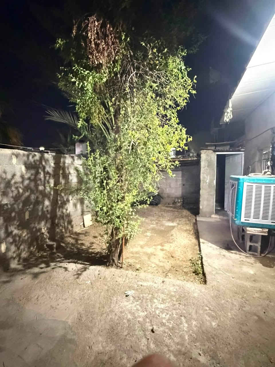 بيت بحي الحيكم مساحـه 170متر (طابو 25)مشمول بلتطويب بنزله التمايمه مقابيل المدرسه بلفرع بناء غرفتين نوم وصاله ومطبخ وحمام داخلي وصحيات خارجي بناء بلوك غرفتين عكاده والهول النطبخ سندويش بي تروك ثنين البيت كلش نفه واسع فقط يحتاجله ترتيب البيت كله صابغته ومرتب باقي بس غرفه جبيره يحتاجله تكشير وصبغ ( (السعر 21))وبي مجال بسيط للشراي  
رقمي ***********
