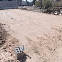 أرض زراعي • ١٠٠م • نجف مشخاب