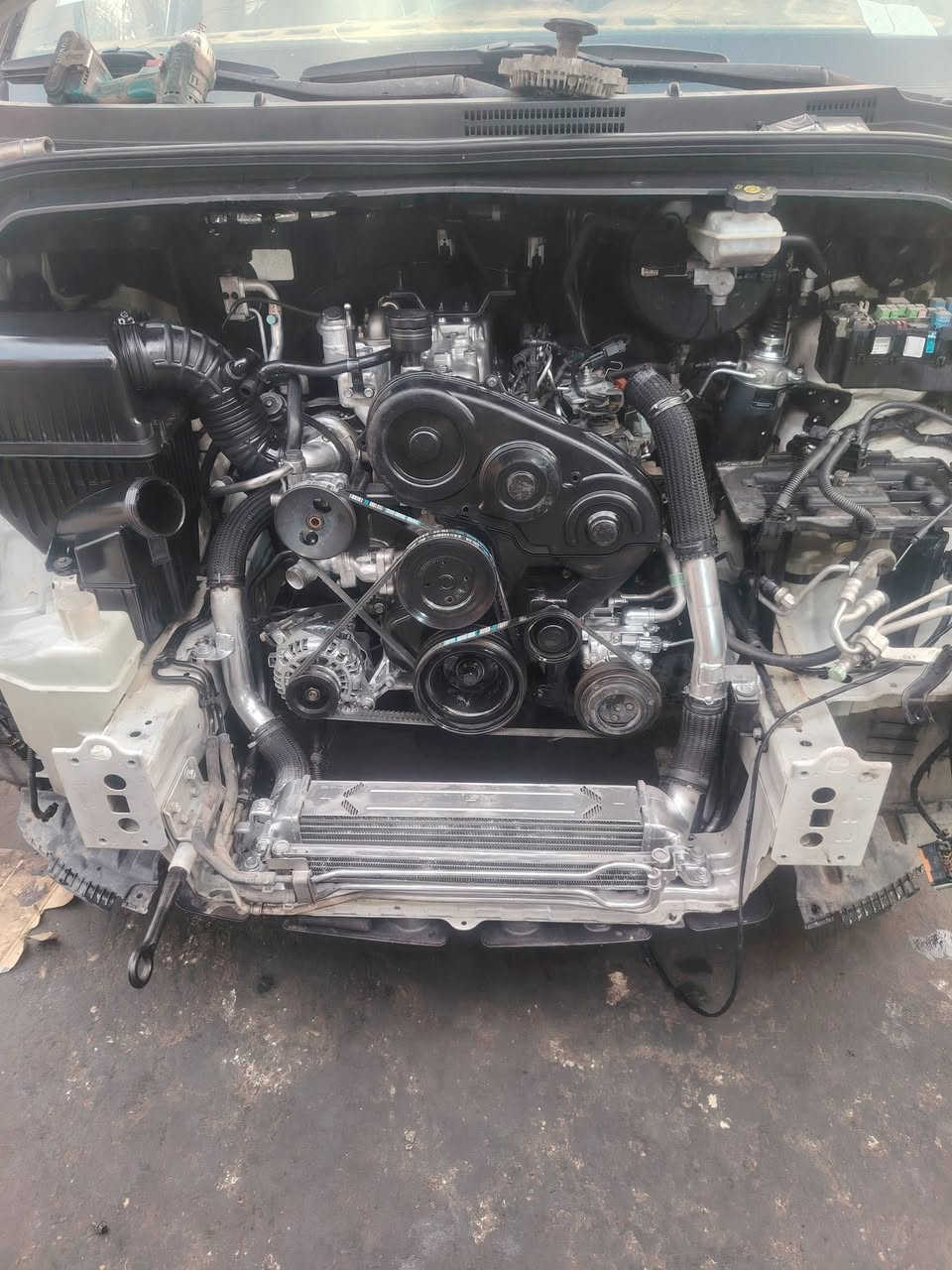 تم بفضل الله تعالى تجفيت ستار كس 2009 تجفيت عام غراض اصليه ضمان سنه بوش وبستم ورنك ويطغ تخم واشر تخم جبن تخم قوايش تخم رولات واتر بم صينية اكلج بوربرن اكلج صوندة دينمو ماء ودهن وفلتر دهن تجيك أربع اويالة وأربع راديترات من اللة توفيق خدمات محمد الشمري ديالى بعقويه تقاطع ساده *********** ***********
