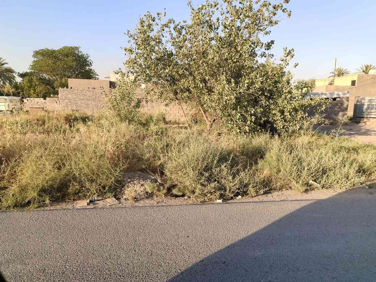 السلام عليكم
قطعة أرض ركن للبيع في هور رجب شارع العريگات قرب مدرسة قطر الندى  مساحتهة 250م واجهية 15ونص ونزال16 ركن على شارع تبليط وبيهة مي وكهرباء للاستفسار
***********
