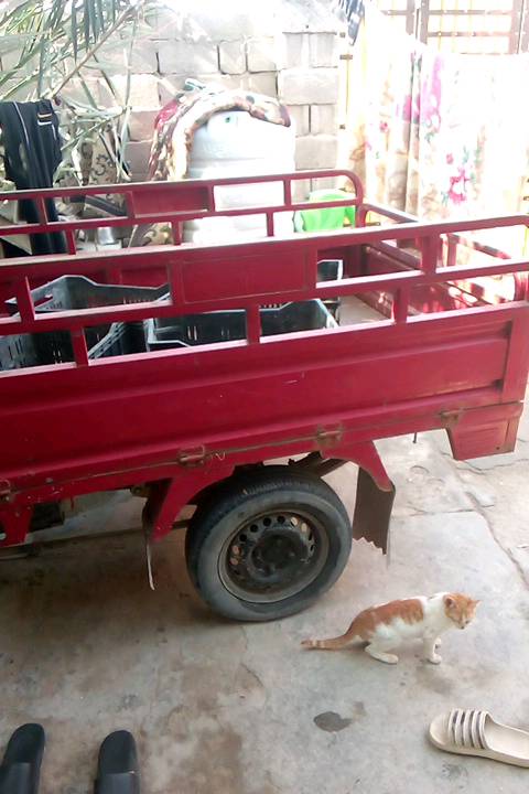 ابوالخصيب كوت الصلحي قرب مدينة الاندلس ستوته جمره فحل 2019 اوراق بأسمي كلشي شغال ينراد باتري فقط الموشراي لايتصل ملينا من المراسله