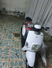 دراجة • ماكس بوليس • نجف