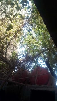 حي الشهداء السايدين • ٢٢٥م • ٥غرف