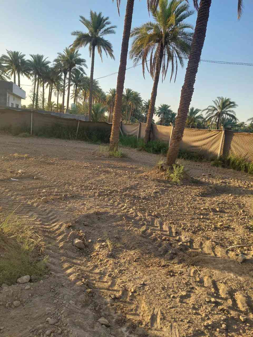 مزرعه للبيع مساحته دونم طابو زراعي سند٢٥
صالحه للزراعه والسكن بيه نخل حمال زهدي وخستاوي مزروعه كل موسم مظروبه بي آر سي بيه ماء اساله ماء سقي كهرباء بيه عنوان حله ورديه خارج قرب مطعم الرضوان الاتصال 
على رقم الهاتف 

***********
