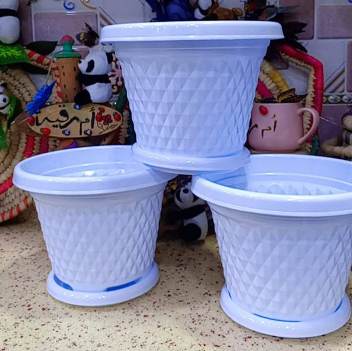 🎊عرض الف فقط الصور لي بالمنشورة 🎉 
🐞يتوفر لدينا جميع اكسسوارات نباتات 🕊️ 🚕توصيل كل محافظات العراق 🚕 
🚕الزرع لعرض فقط 🪴 
📞حجز على خاص ☎️
☎️***********📞
