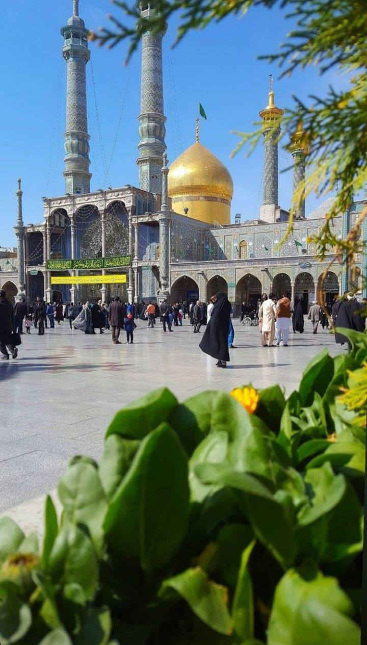 #تحطيم #_الاسعار 
 عطله نصف السنه 
تعلن حمله السيده زينب 
للزياره العتبات المقدسه 
برامج ايران 🇮🇷سياحي ديني 
#رحلتك ويانه هنو احلى   
قم   مشهد.  نيشابور
 
السعر( 220 ) الف عراقي فقط
انتباه انتباه انتباه225 الف 
3وجبات طعام في قم 
3وجبات طعام في مشهد  
تاريخ الرحلات 
  2/2/2026
3/2/2026
4/2/2026       

#باص #vip    #رجال أعمال    25نفر  
#البرنامج 11يوم
#3ليالي قم المقدسه
#4ليالي مشهد المقدسه 
 
برنامج الرحله هي :-
1- قم ( جامع جمكران , الاربعين علوية , بيت النور 
2- مشهد (، قدم الامام الرضا ع , ياسر وناصر باغ مشهد  جبل كوسنجي   

------------------
ملاحظة :- يكون التسكين ثلاثي ورباعي وخماسي 
ومن يرغب بغرفة ثنائيه فرق للشخصين (30الف    ) 
والغرفة السنكل  ( 60الف الف )
جميع برامجنا تشمل
1- الذهاب والعودة من مقر الشركة الى مقر الشركة 🚎
2- جولات سياحيه دينيه 🏝
3- فنادق مميزه وممتازة قريبه على الحرم والاضرحه الشريفة 🏩
4- توفر لكم الشركة مترجم للأمور الطبية والعلاجية  مجانا
ملاحظة : تسليم واستلام الغرف الساعة 12 ضهرا 
 ملاحظة مهمة... عند تسليم المبلغ والجوازات لايحق للمسافر الغاء الحجز  ♕
العنوان /النجف الاشرف قضاء المشخاب   باداره عقيل الإبراهيمي 
الحجز للمحافظاتنا الحبيبه عن طريق زين كاش أو ماستر كارد 
للاتصال ع الأرقام التاليه
*********** اتصال وواتساب@
