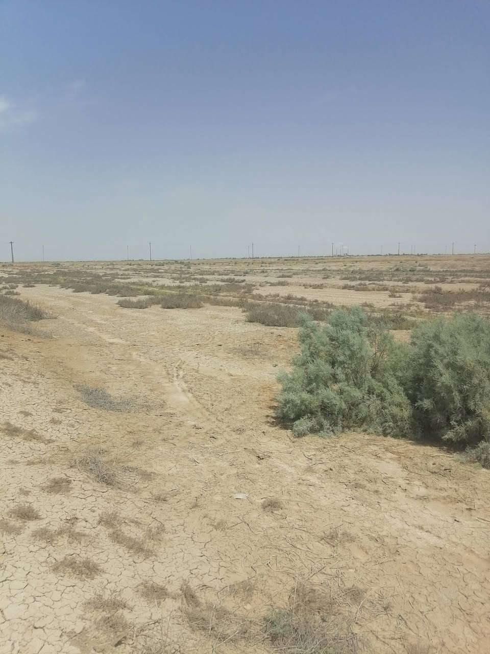 سلام عليكم ارض زراعيه لبيع ٨دونم  قانون ١١٧ بسمي عله طريق زبيديه شحيميه عل شارع العام  لاسفسار عله رقم ***********
