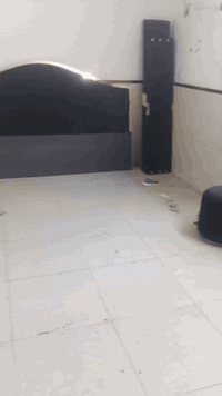 انسسب الاسعار ⚒ فتح وشد كافه انواع الغرف غرف جاهزه فتح وشد وصيانة جميع أنواع الغرف 🛠 𝕔𝕒𝕣𝕡𝕖𝕟𝕖𝕣 𝕜𝕒𝕣𝕣𝕒𝕣
عراقي🇮🇶     تركي 🇹🇷    ايطالي🇮🇹    صيني  🇨🇳  ماليزي
............................. ...
_وشد الاثاث المكتبي 🚪: داخل بغداد ✅   بأسعار تنافسية ومناسبة  مراسله واتساب 📞***********
