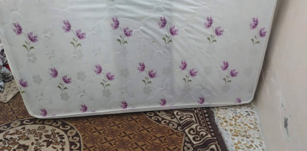 عندي هاي دوشك تركي نضيف  سعر بم يرضي الله


**إذا كنت صاحب هذا الإعلان وتريد حذفه لأي سبب، رجاءا أرسل رسالة إلى الدعم الفني**