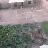 حصيبه الشرقيه • بيت طابقين • ١٢٦٠م