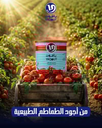 بغداد • حي العامل