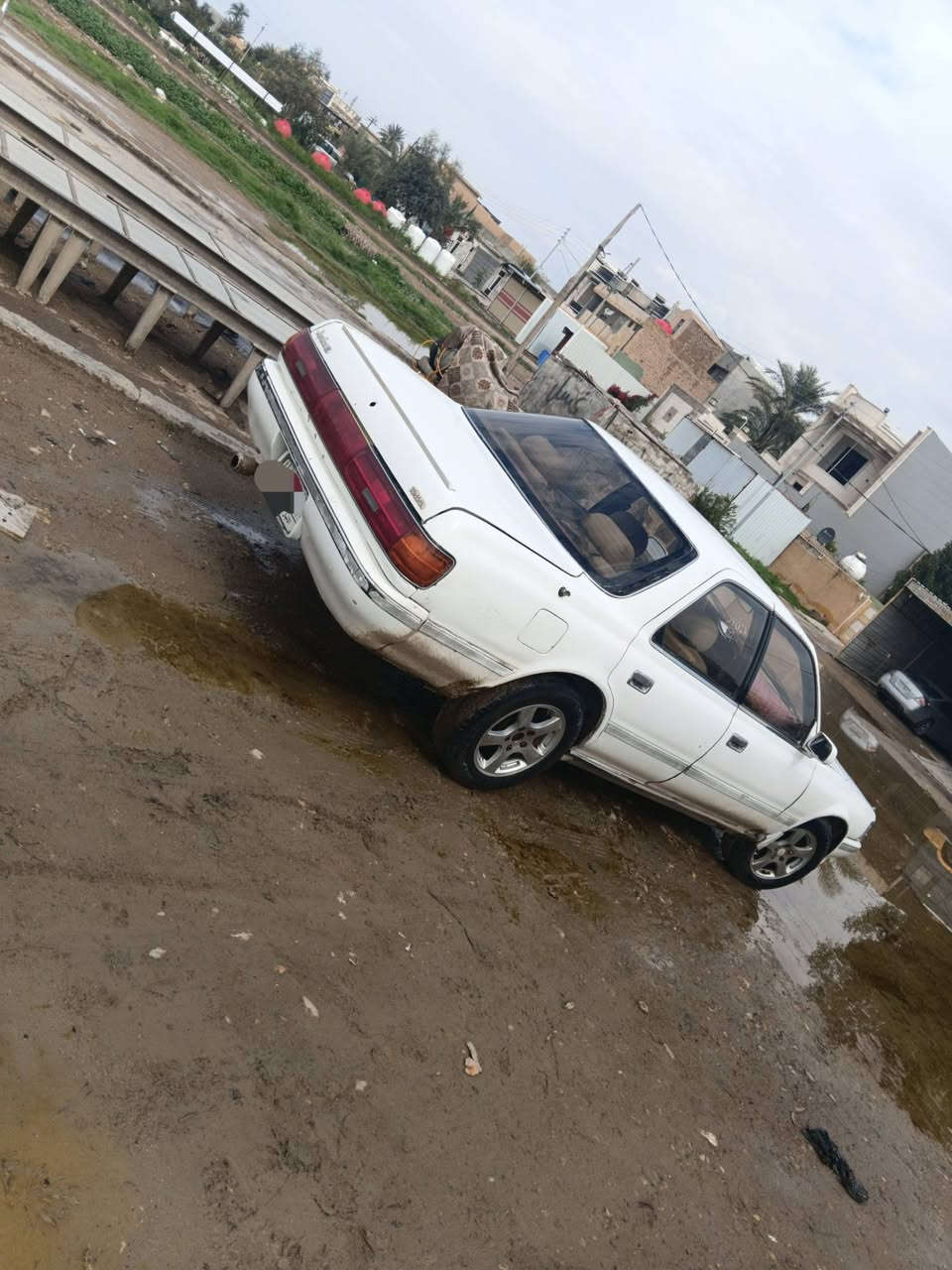 تويوتا كريستا، البيع موديل 1990، سنوية الى 2029،مشروع وطني ،تحويل حاظر ، مكينة ونجي كير جديدة مابيهن شي ، داخل بلادية سيارة كهربائية كل شغالة توير جديدة ، رقم انبار الاماني صاحب ايمي جاري مابية قطرة خيس ، سعرة 33ورقة بية حق جية ستفسار اتصل ***********،،العنوان ديالى. المقدادية ،
