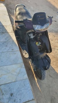 فراشه فحل • نضيفه • سلف كهربايات