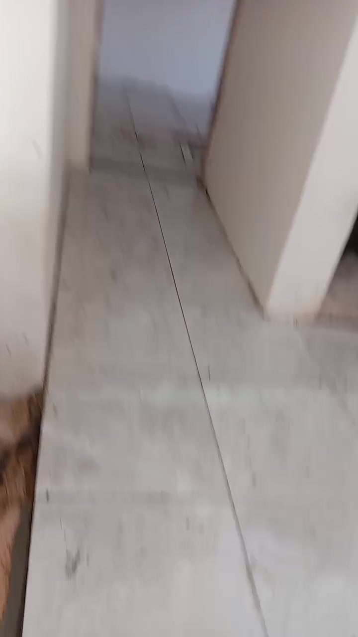 *********** ابو حسن الخلفه مصري
