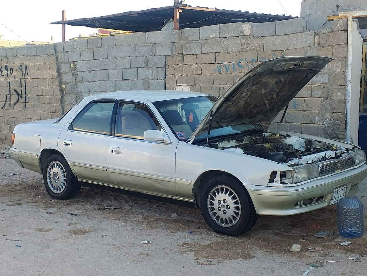 سلام عليكم كرسته كصيف رقم صلاح الدين مكفوله كصه ونغل البصره الزبير
السعر 25 وبيه مجال
الرقم الاتصال *********** اخوان انا مكلف بنشر
