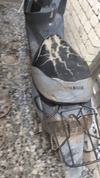 السلام عليكم دراجه منغولي شغاله كامل ماصارلها فتره بسيطه من تجفتت تجفيت كامل روله وبوشه وبستم نواقصها مابيها شي شغاله هندر واحد وباتري موجود بس كهربائيات يرادلهن ترتيب من ناحيه الضوه يعني لاشيئ اخر المكان كربلاء ب الحر الصغير
السعر: 275 وبيها مجال للشراي

رقمي: ***********
