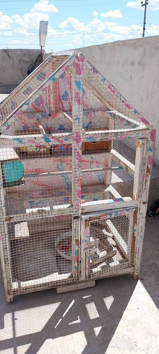قفص طيور للبيع نضيف ماعايزه ايي شي () 
السعر 30 الف وبيي مجالل للشراي التواصل *********** واتساب فقط او خاص العنوان موصل القوسيات
