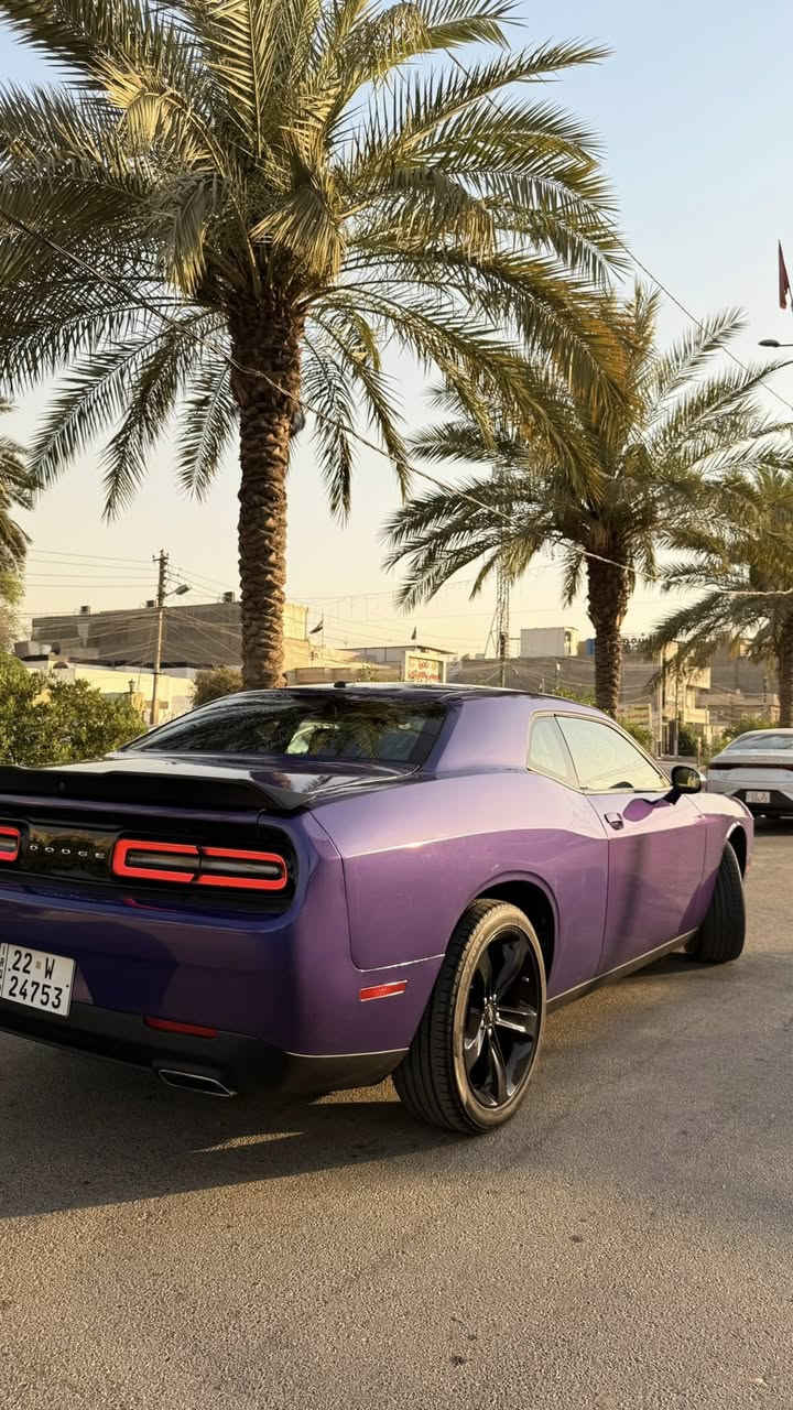 للبيع دوج جالنجر 2023 sxt last call / النداء الاخير
V6 3.6 / ماشية 44 الف 
لون بنفسجي حادث خلفي بجم كبس 
ايرباك البردة اليمنة فقط 
جاملغ خلفي صبغ و نص الصندوق و الجاملغ الثاني pdr بارد 
تعديل بارد بالشاصي الخلفي الأيمن 
صور الحادث مرفقة 
مواصفات الجالنجر المعروفة 
السيارة جاهزة متصرف عليها ربع 
السعر / 212 ورقة و بيها مجال للشراي 
رقم اربيل تحويل او وكالة 
مكاني بغداد السيدية 
***********
