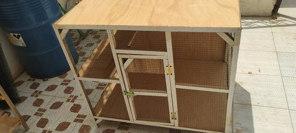 قفص: وجه 1 متر ارتفاع 80 سم نزال 80 سم السعر 45 الف


**إذا كنت صاحب هذا الإعلان وتريد حذفه لأي سبب، رجاءا أرسل رسالة إلى الدعم الفني**