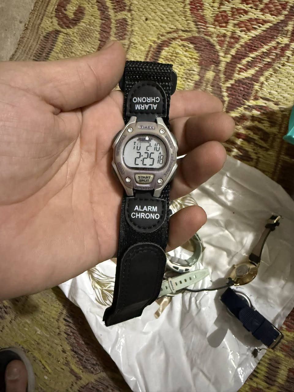 جمله فقط تحياتي الجميع ***********
