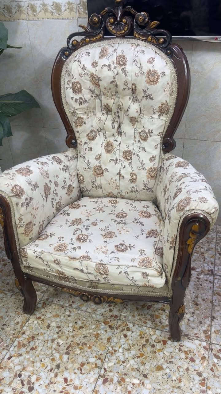 بيع مستعجل عشره مقعد زان مصري بدون ضرر السعر 190 ..***********
