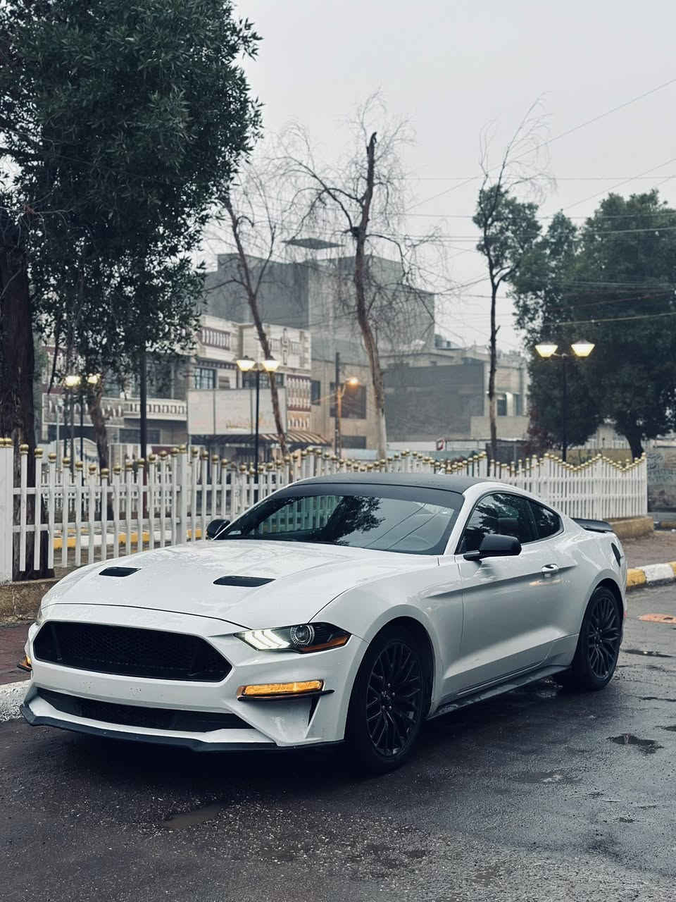 موستنك 2018 eco🔥🤍
للبيع 
كير محرك اكسل كفالة وبشرط
السياره وحش 
ك جمال وقوهة السياره شلعه ماتكول ايكو 
رقم اربيل تحويل ثاني يوم 
سياره حادثها قطعتين جاملغ او باب عكس سايق 
بلكات ريسنك🔥
ولف حماوه ريسنك🔥
ويل تراك بكج 🔥
الدواخل احمر جلد🔥
البجم كبس شركة شباك GT🔥
كامره خلفيه 🔥
ماشيه 55ميل
لا لغود لا شواصي لا اي ضرر داخلي بل عافية عل ياخذها 
موصفات الايكو العادية 
مراوس اب اربع بيبان عادي 
السعر 145$ مكاني بغداد

***********
