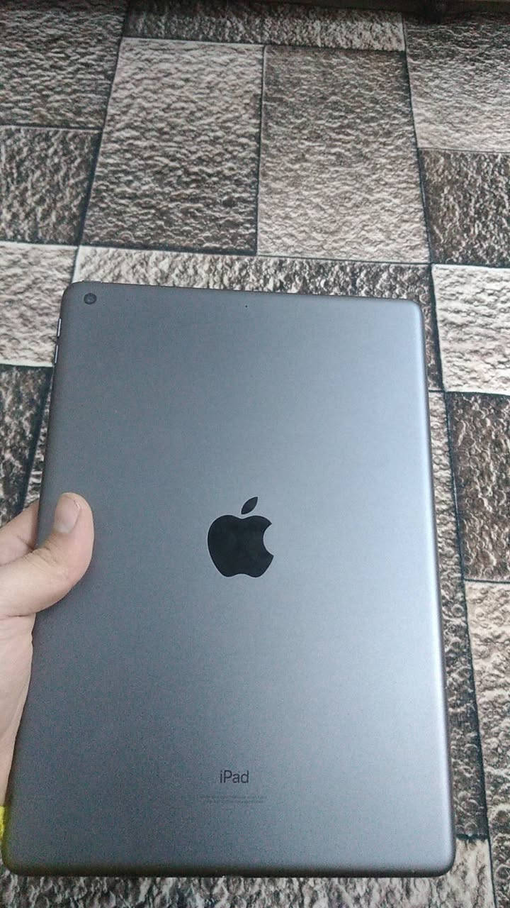 ايباد الجيل التاسع ذاكرة 64 مامفتوح بلادي الجهاز نضيف السعر (180) مكاني ديالئ بعقوبة


**إذا كنت صاحب هذا الإعلان وتريد حذفه لأي سبب، رجاءا أرسل رسالة إلى الدعم الفني**