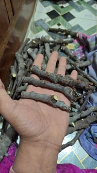 اقلام تين بني مسلم اسود مجانا مجانا  الكمية محدودة الاتصال  0788250094...