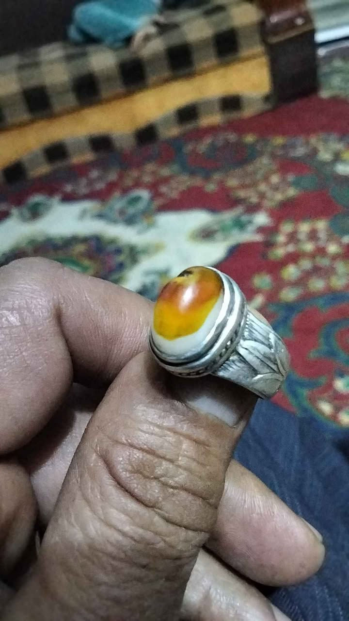 جزع معطف الشطره, ذي قار


**إذا كنت صاحب هذا الإعلان وتريد حذفه لأي سبب، رجاءا أرسل رسالة إلى الدعم الفني**